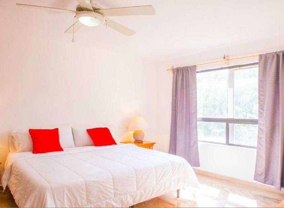 Apartment Amazing Location & Great Price *