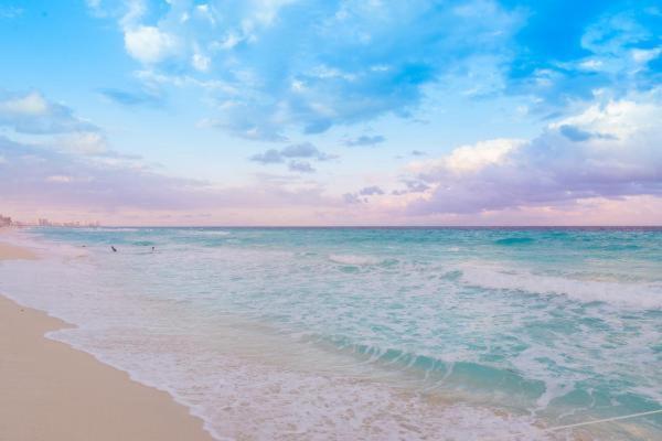 Amazing Location & Great Price Apartment
