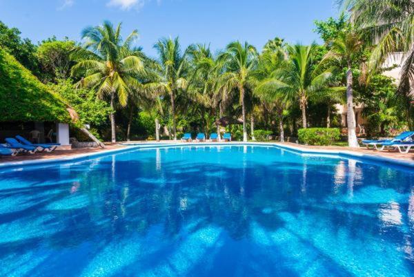 Amazing Location & Great Price Apartment Cancún